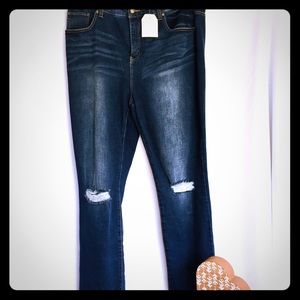 Wonderly Destructed Ankle Skinny Jeans Plus Size